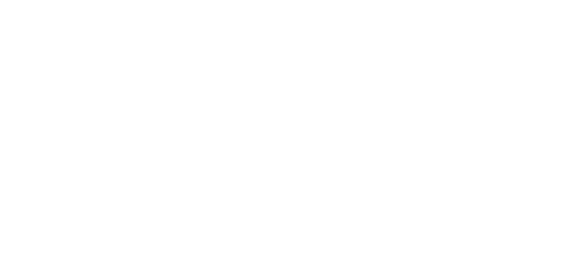 Logo Delphine Fonzetto Blanc